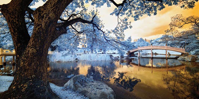Tips for Getting Started in Infrared Photography Tips for Getting Started in Infrared Photography