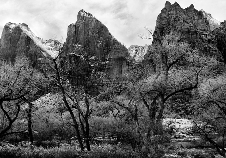 Zion National Park 1