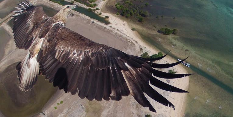 The Winners Of Dronestagram’s First Drone Photo Contest Are Impressive