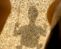 Typepad Import Image