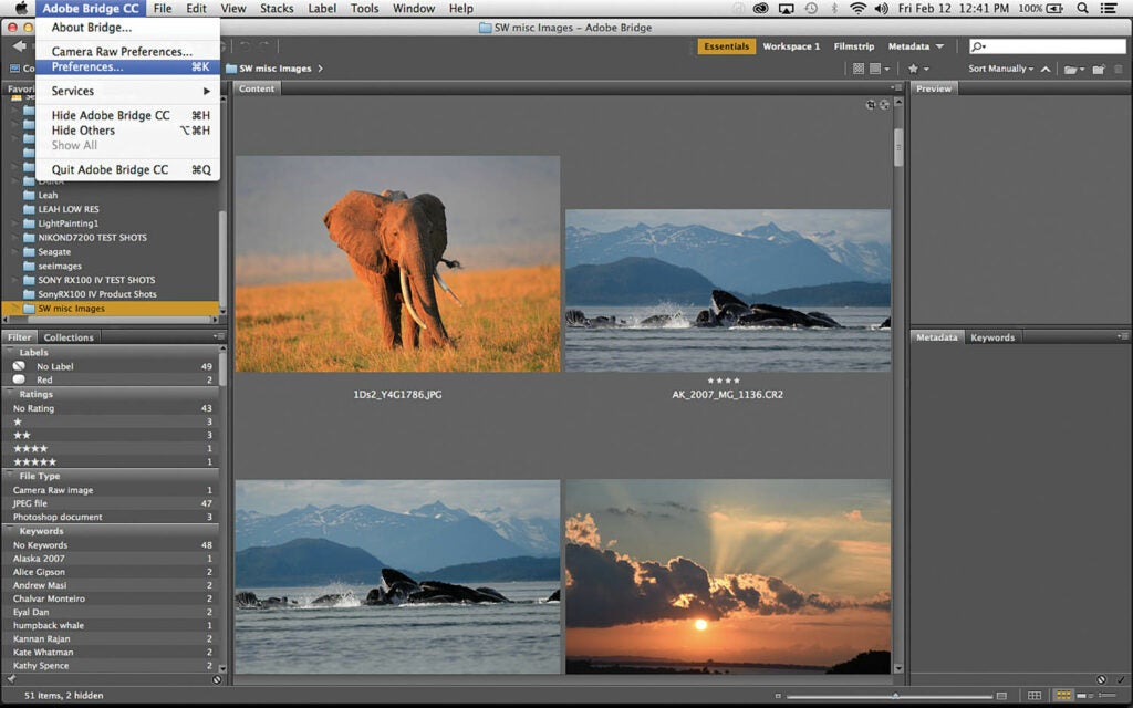 Software Workshop: How to organize your photos with Adobe Bridge