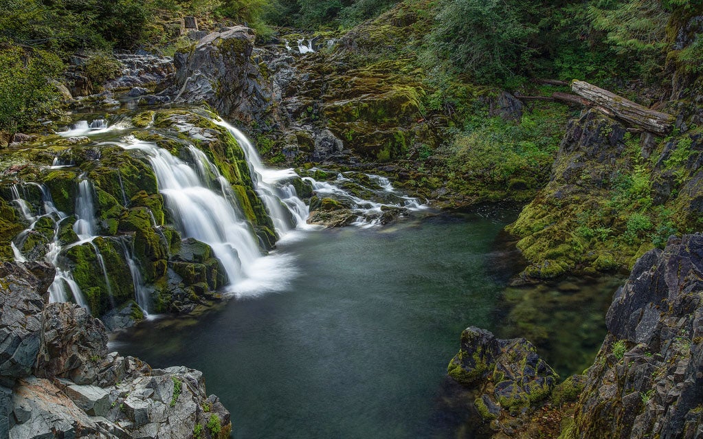 Pat Rose made today's Photo of the Day at Cascada de los Ninos, Opal Creek Wilderness, Willamette National Forest in Oregon. See more of her work <a href="http://www.flickr.com/photos/79473647@N03/">here</a>. If you want your own work considered for Photo of the Day, <a href="http://www.flickr.com/groups/1614596@N25/">join up with our Flickr group</a> and submit your stuff!