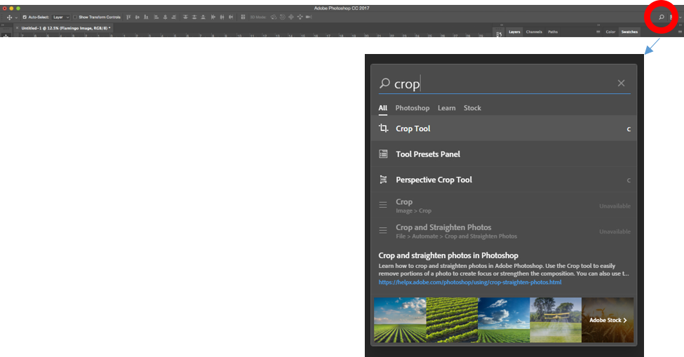 Photoshop in-app search
