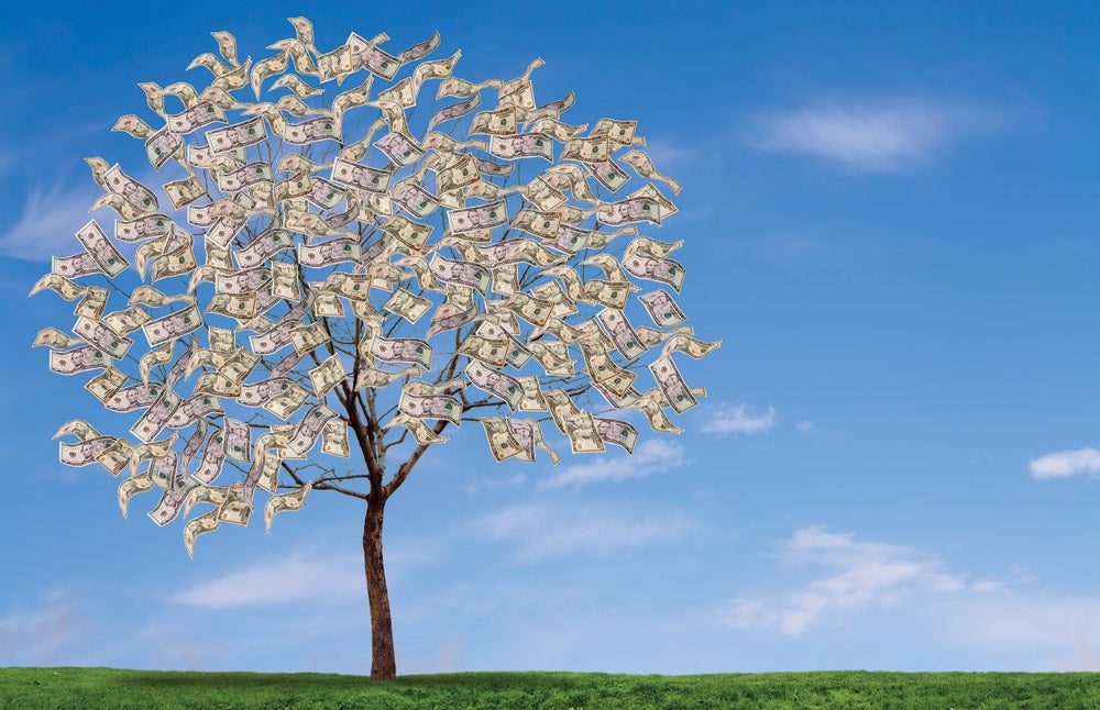 money tree