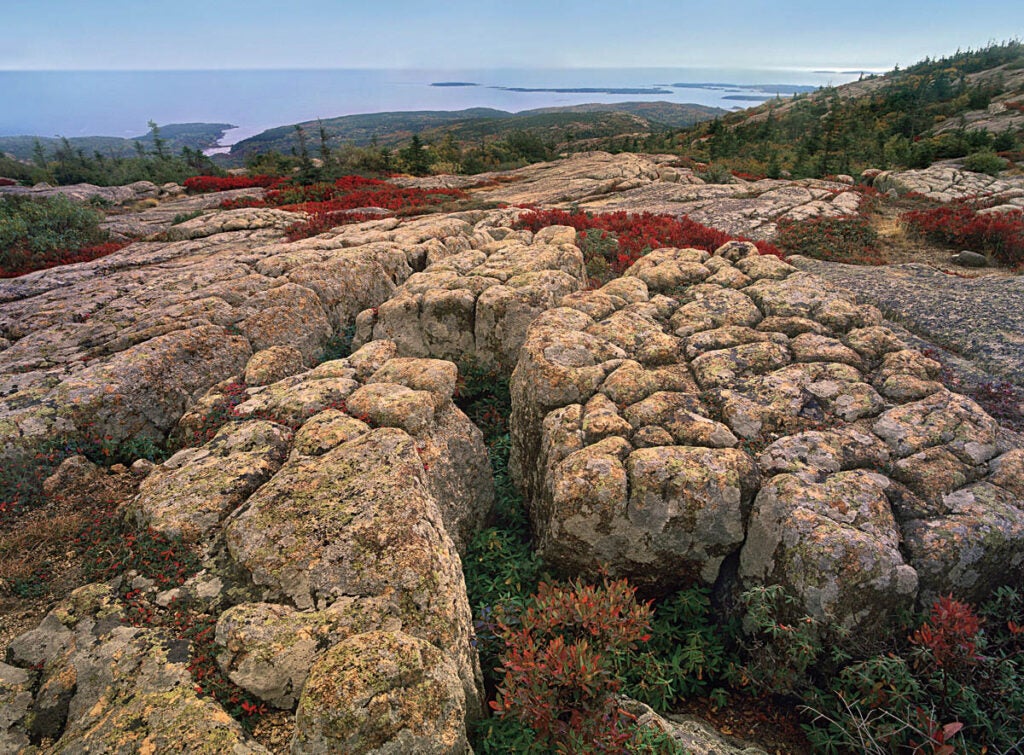 Bonus Image: Acadia National Park (ME)