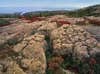 Bonus Image: Acadia National Park (ME)