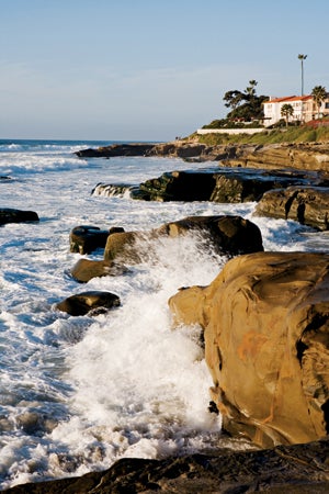 Nature-Extreme-Makeover-WIND-AND-SEA-LA-JOLLA