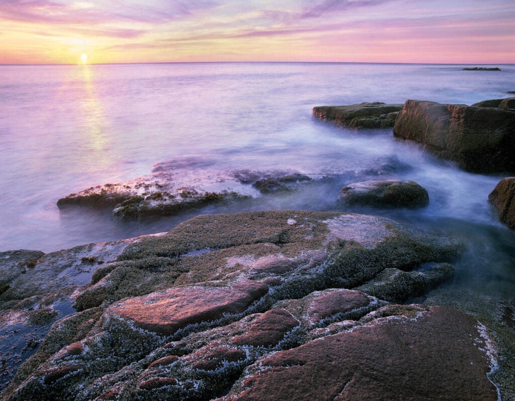 Bonus Image: Acadia National Park (ME)
