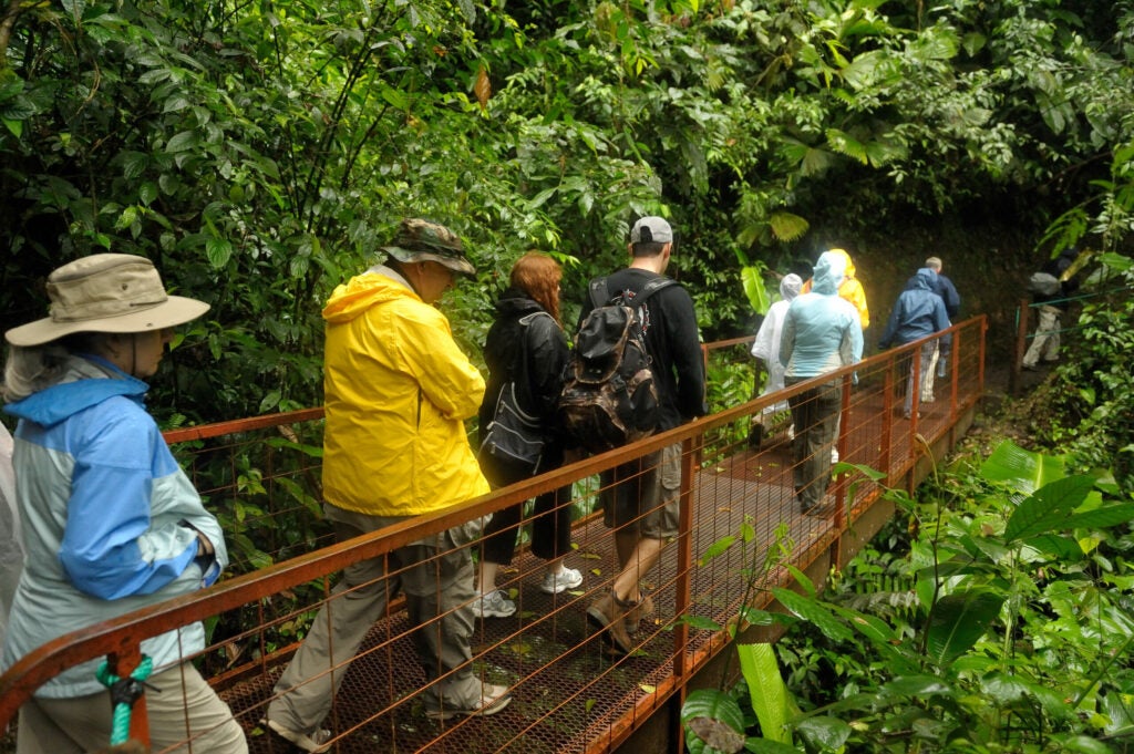 20100201_bd_costarica-0027.jpg