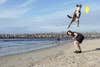 dog catching Frisbee on the beach