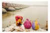 Women crouching on the docks