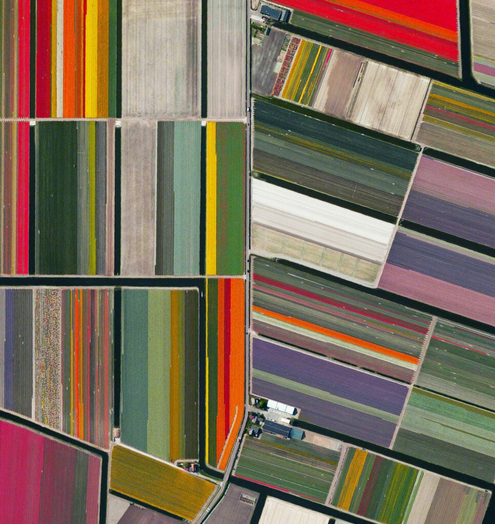 Image © DigitalGlobe, Inc.; caption © Benjamin Grant, 2016