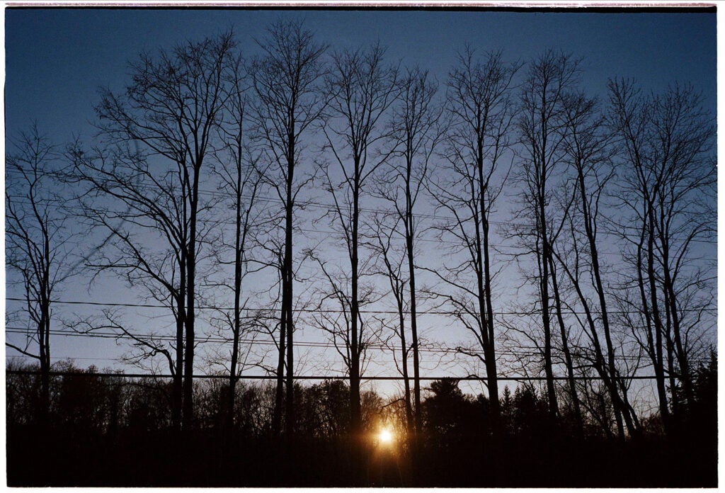 Landscape photo developed with Cinestill