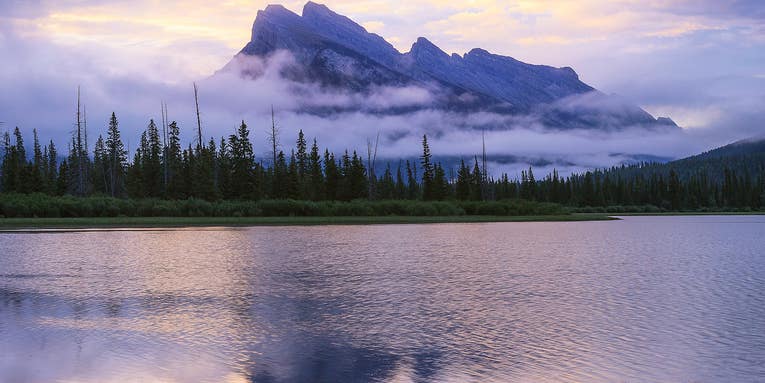 How embracing the unexpected will make you a better photographer How embracing the unexpected will make you a better photographer