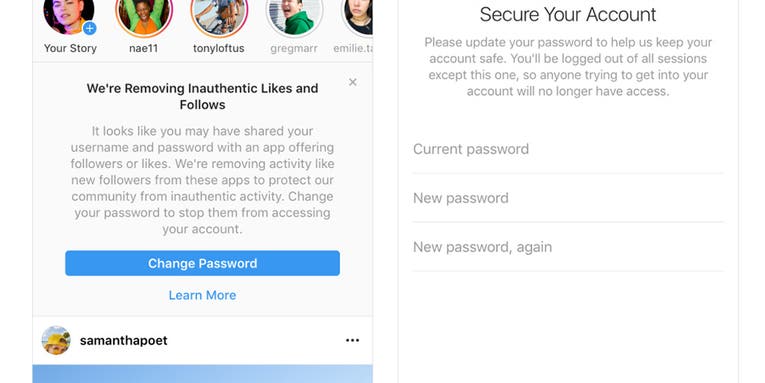 Instagram is cracking down on fake followers and fraudulent likes Instagram is cracking down on fake followers and fraudulent likes