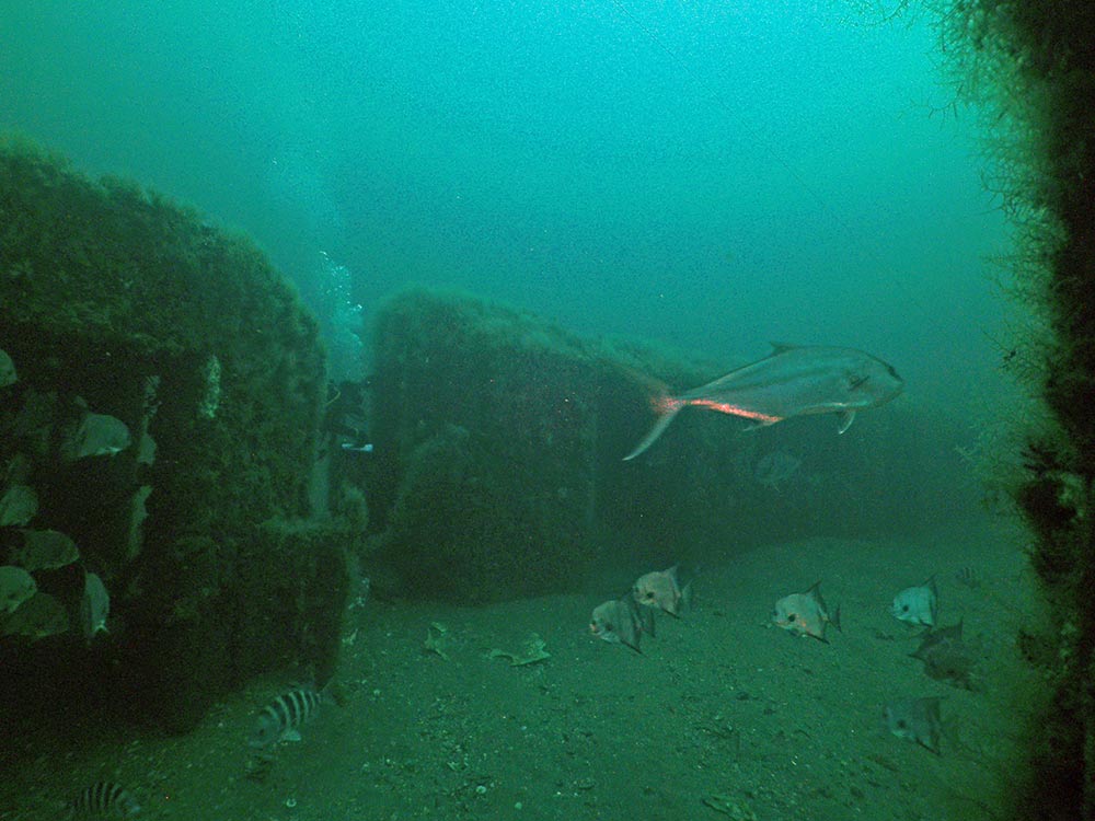 subway train car reefs under water