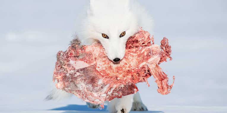 The winning images from the Smithsonian Photo Contest celebrate the beauty of our natural world The winning images from the Smithsonian Photo Contest celebrate the beauty of our natural world