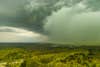 rain cloud washes away pollen