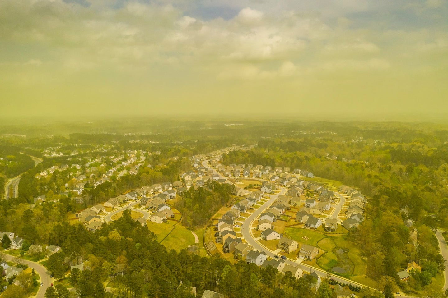 North Carolina’s ‘Pollenpocalypse’ is nothing to sneeze at—but you will anyway