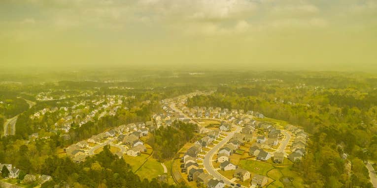 North Carolina’s ‘Pollenpocalypse’ is nothing to sneeze at—but you will anyway