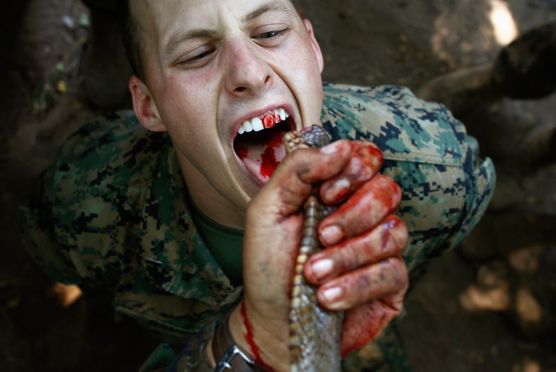 A U.S. Marine drinks the blood of a cobra during a jungle survival exercise with the Thai Navy as part of the "Cobra Gold 2013" joint military exercise, at a military base in Chon Buri province February 20, 2013. About 13,000 soldiers from seven countries, Thailand, U.S., Singapore, Indonesia, Japan, South Korea and Malaysia are participating in the 11-day military exercise. REUTERS/Damir Sagolj (THAILAND - Tags: POLITICS MILITARY SOCIETY) - RTR3E0KV