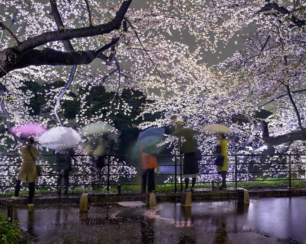 Matthew Pillsbury Tokyo