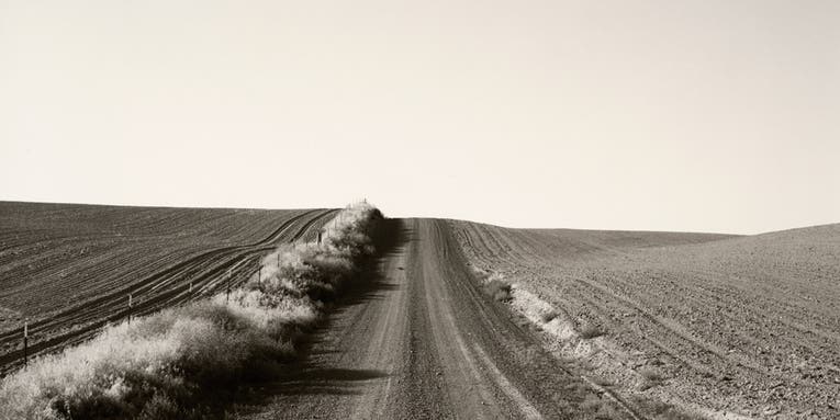 On the Wall This Month: Robert Adams’s New Topographics