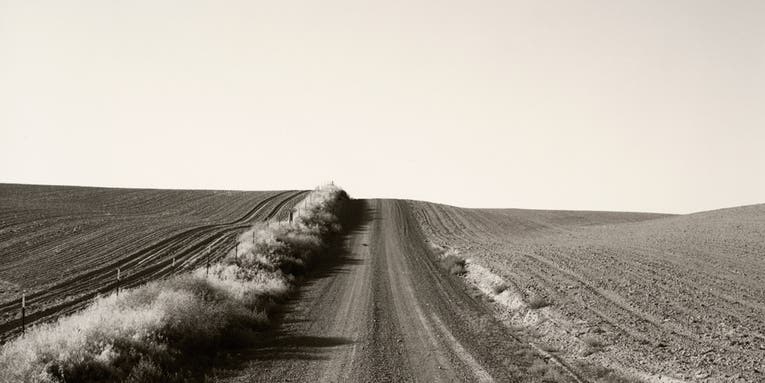On the Wall This Month: Robert Adams’s New Topographics On the Wall This Month: Robert Adams’s New Topographics