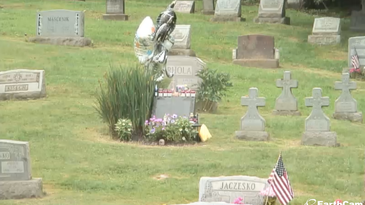 Watch: Live and Direct From Andy Warhol’s Grave