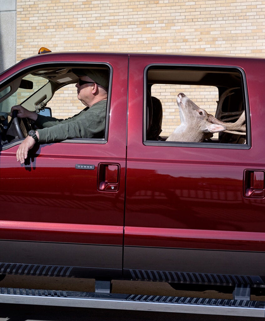 Jim Allred from North Carolina, drives his show piece, a white tailed deer, into the expo.