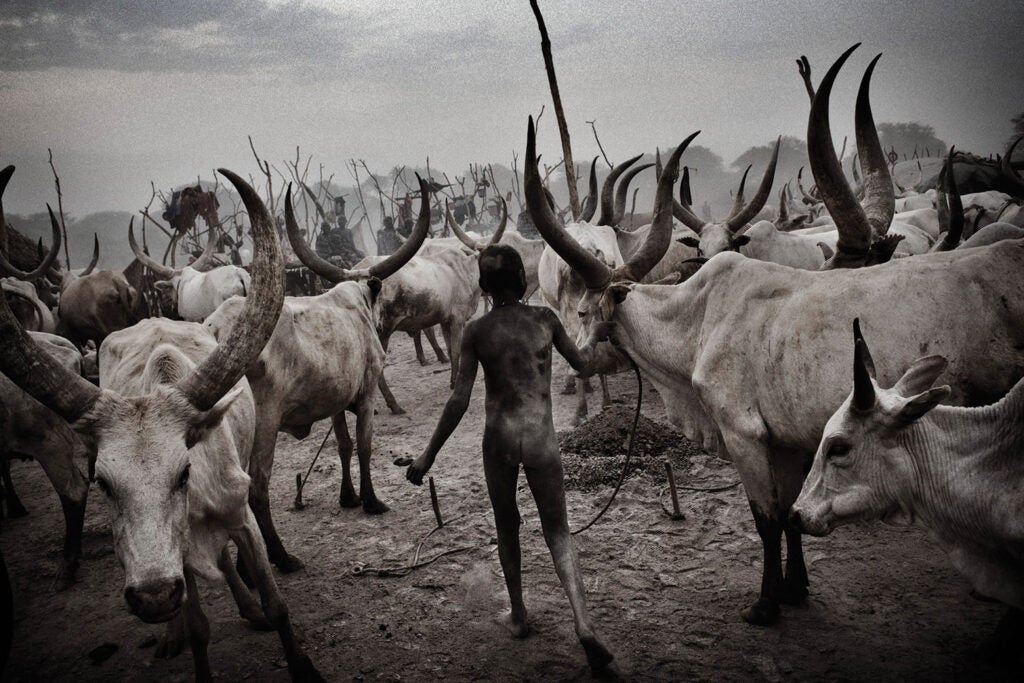 Francesco Zizola South Sudan NOOR Retouching Photojournalism