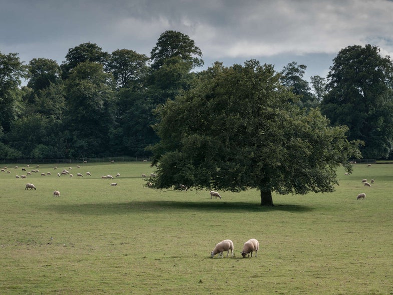 Two Photographers Set Out to Document the Sites of Poignant Tweets