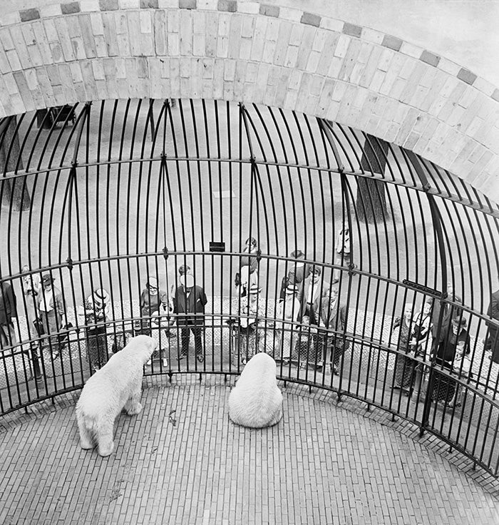 httpswww.popphoto.comsitespopphoto.comfilesfilesgallery-imagesVishniac_People20behind20bars2C20Berlin20Zoo.jpg