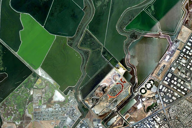 (Silicon Valley detail)