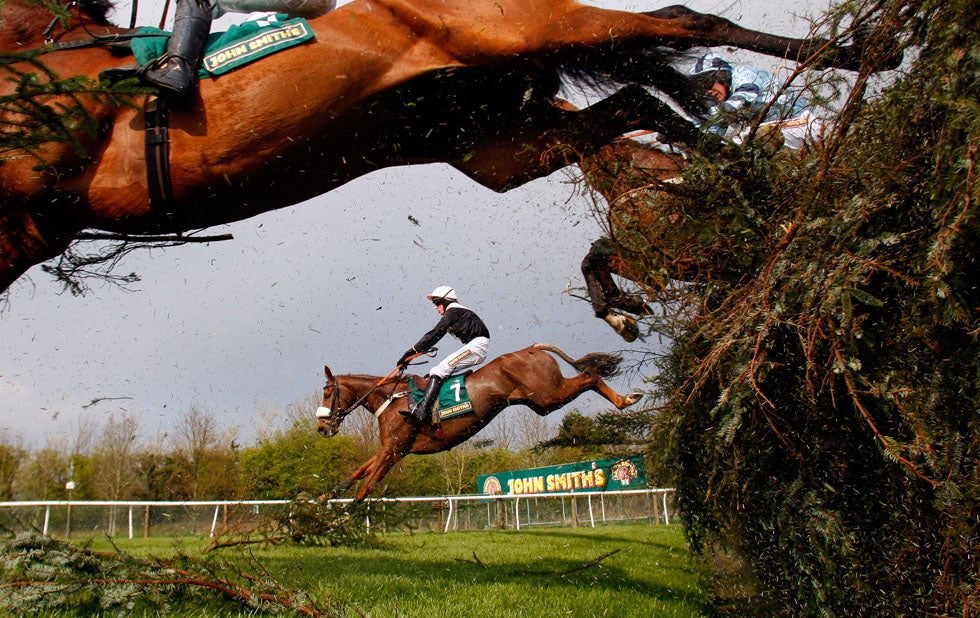 Herecomesthetruth, ridden by Tom Cannon, jumps a fence in the Topham Steeple Chase in Aintree, northern England. Russell Cheyne covers a wide range of international sports including soccer, boxing, horse racing, and skiing. The former Chief Sports Photographer for the Daily Telegraph, he now works mainly for corporate clients while filing for Reuters. Check out more of his work on his <a href="http://russellcheyne.com/">website</a>.