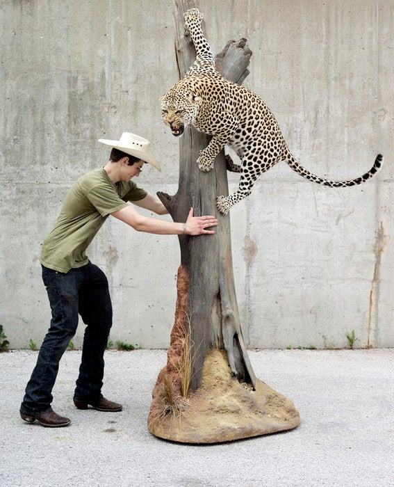 Daniel Meng from Bismarck, North Dakota, puts his prize-winning leopard in the trailer after the show. "Best In World, Large Mammal."