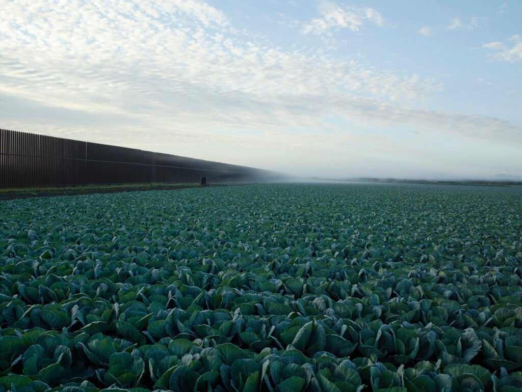 Richard Misrach