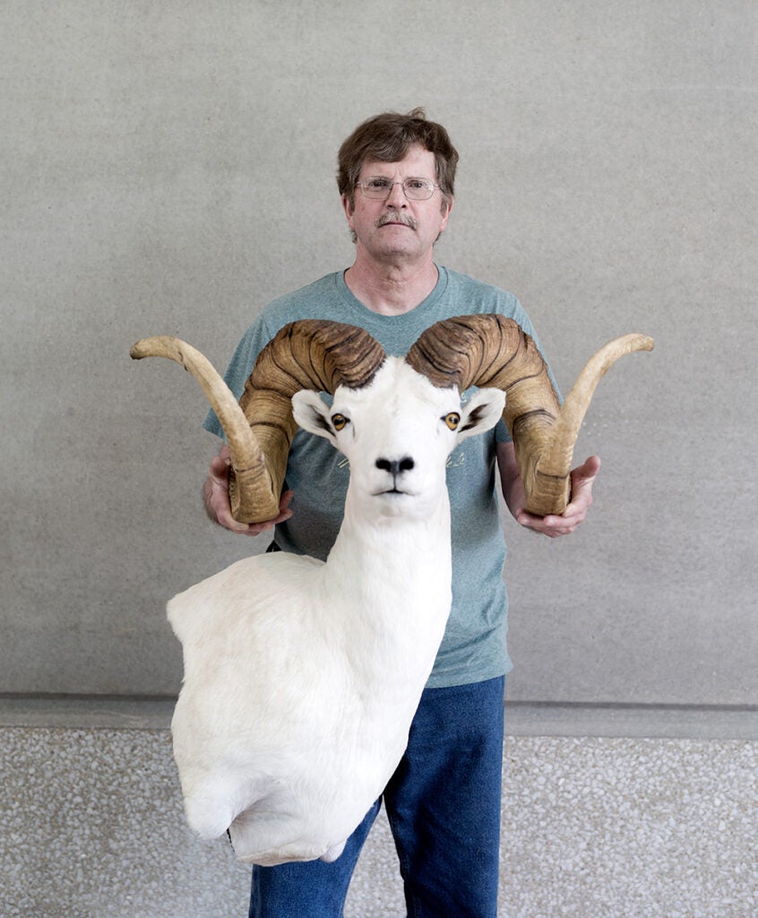 Dale Selby from Nicolet, MN, with his doll sheep. Mr. Selby won second place professional with this head.