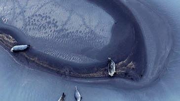 Instagram Takeover: Zack Seckler’s Aerial Abstractions