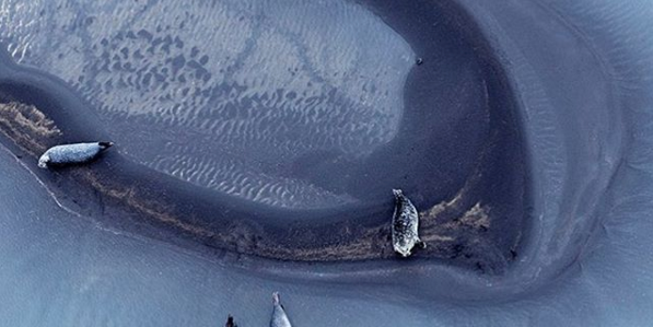 Instagram Takeover: Zack Seckler’s Aerial Abstractions Instagram Takeover: Zack Seckler’s Aerial Abstractions