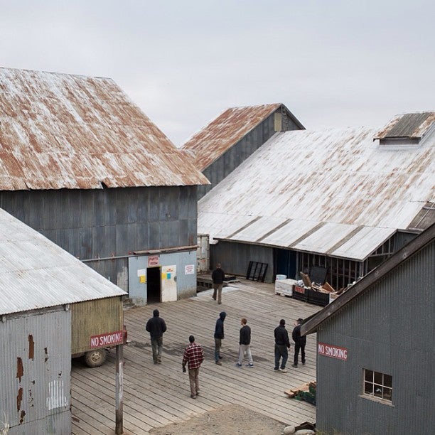 Peter Pan cannery, Naknek, Alaska