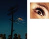 httpswww.popphoto.comsitespopphoto.comfilesfilesgallery-imagese_ap_2012_compulsion_Redcliff_Eye_10_diptych.jpg