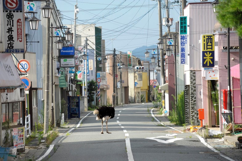 Japanese Photographers Reflect on the Devastation of 3/11