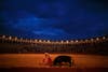 Spanish matador Eduardo Gallo drives a sword into a bull to kill it during a bullfight at The Maestranza bullring in the Andalusian capital of Seville, southern Spain. Marcelo del Pozo is a Reuters staffer based in Spain.