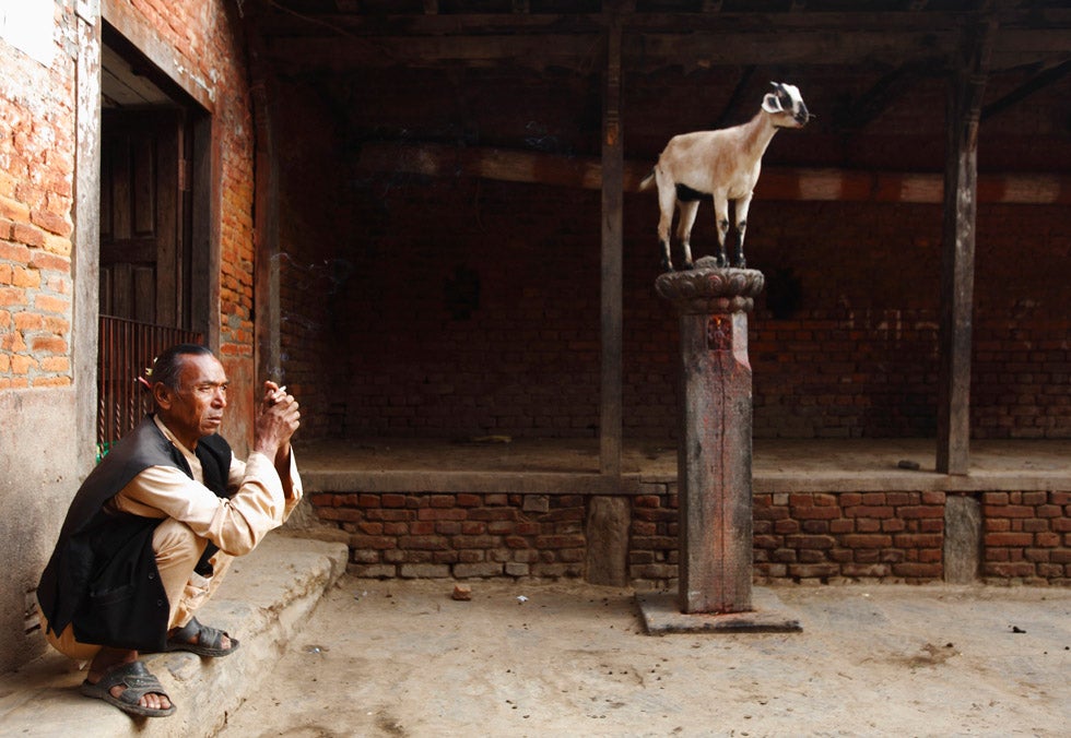 A man smokes a cigarette near a goat standing on a pole at a temple at Khokana in Lalitpur, Nepal. Navesh Chitrakar is a Reuters staffer based in Nepal. His work has appeared in our weekly roundup more than any other photographer. See his image from the past two week's round-up <a href="http://www.americanphotomag.com/photo-gallery/2012/10/photojournalism-week-october-5-2012?page=1">here</a> and <a href="http://www.americanphotomag.com/photo-gallery/2012/09/photojournalism-week-september-28-2012?page=7">here</a>.