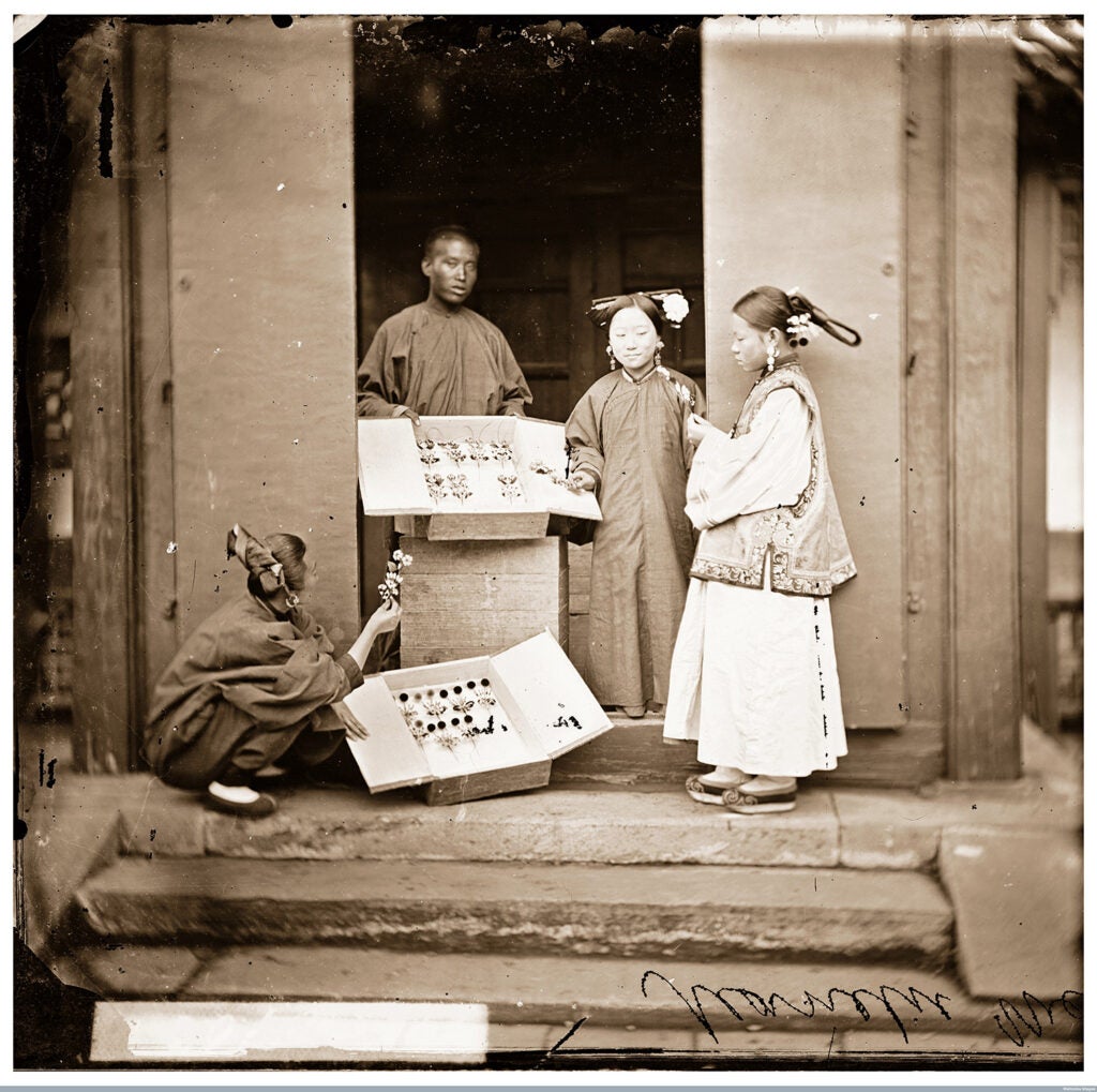 Manchu women buying flowers for their headdresses, Beijing, 1871–72.