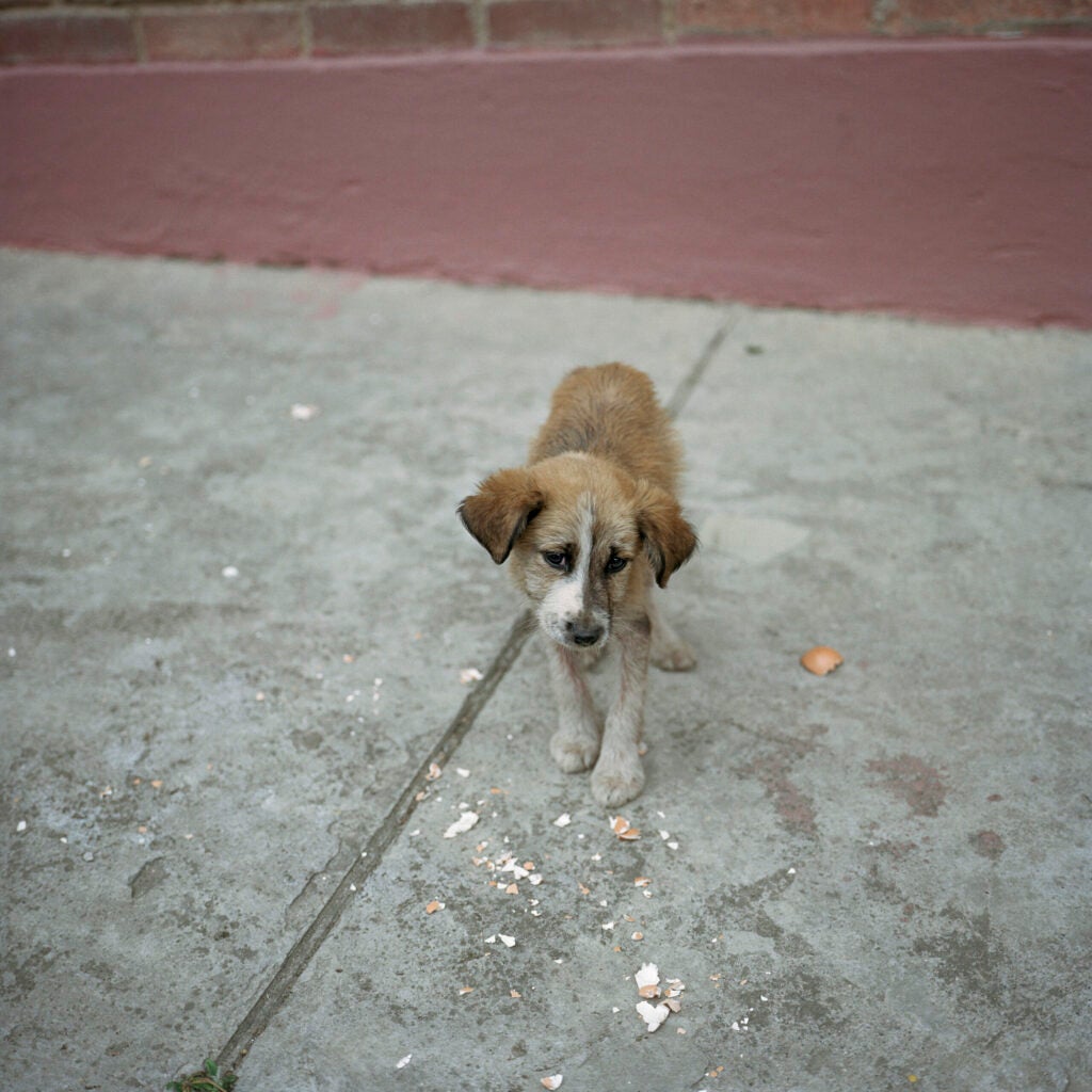 Â©  Alec Soth / Magnum Photos