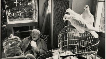 On the Floor at Sotheby’s Fall 2015 Photography Auction