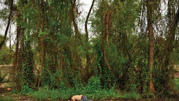 Mexico’s Morbid Landscapes Mexico’s Morbid Landscapes