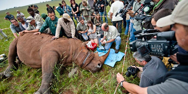 The Best Photojournalism of the Week: February 17, 2012